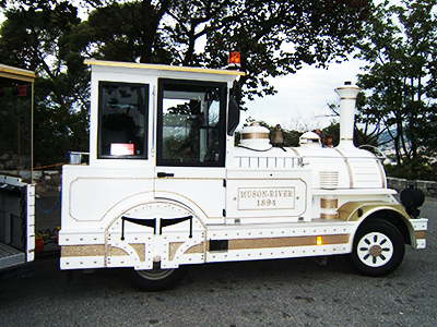 Nice Tourist Train
